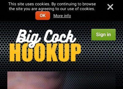 BigCockHookup.com reviews