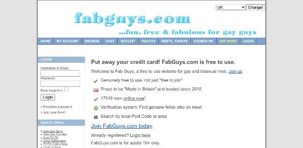 FabGuys.com reviews