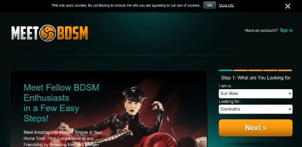 MeetBDSM.com reviews