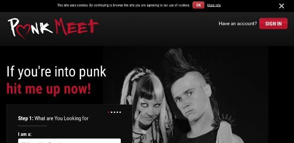 PunkMeet.com reviews