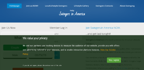Swingers-In-America.com reviews